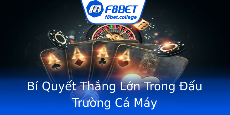 Bí Quyết Thắng Lớn Trong Đấu Trường Cá Máy Bí Quyết Thắng Lớn Trong Đấu Trường Cá Máy