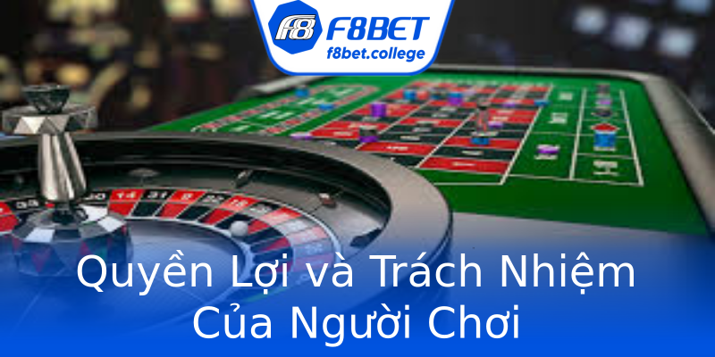 Quyền Lợi và Trách Nhiệm Của Người Chơi